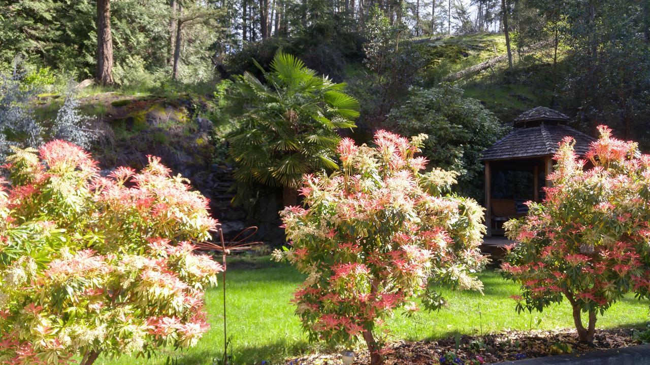 Sunshine Coast Treetop B&B Сешелт Экстерьер фото