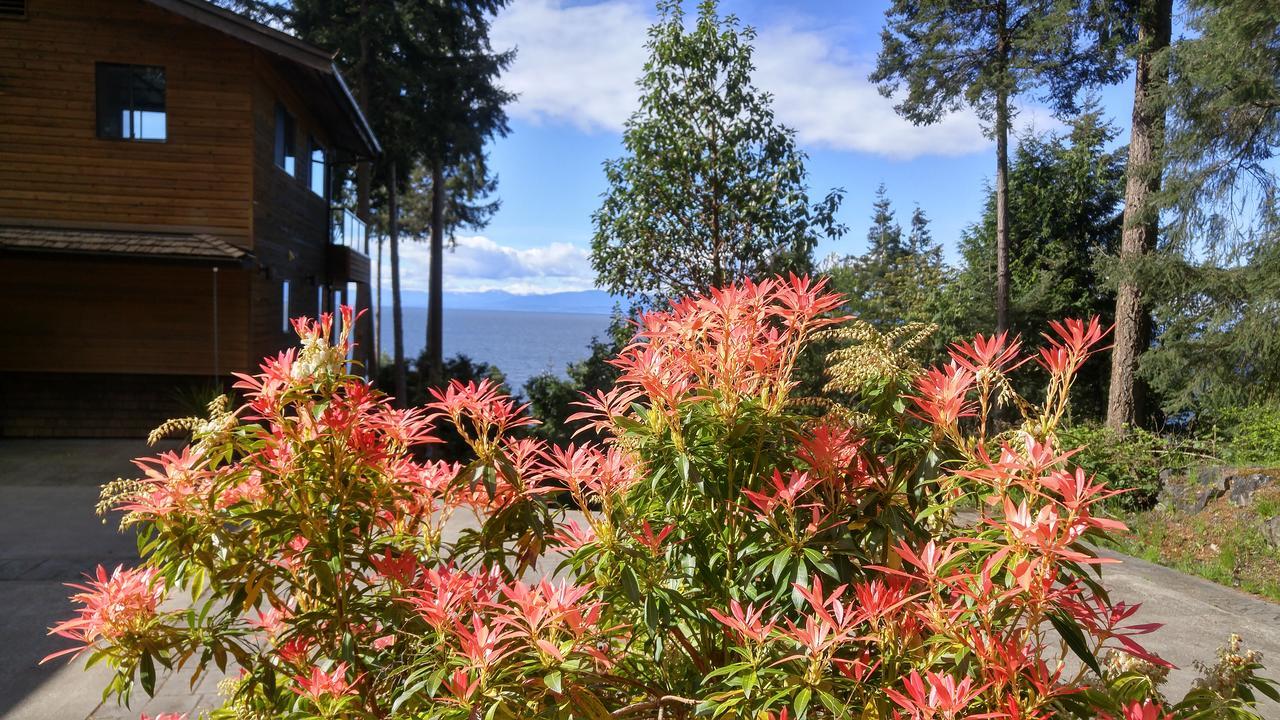 Sunshine Coast Treetop B&B Сешелт Экстерьер фото