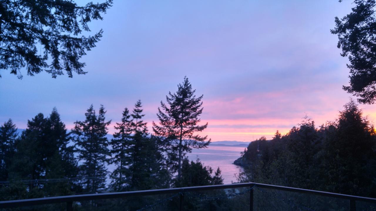 Sunshine Coast Treetop B&B Сешелт Экстерьер фото
