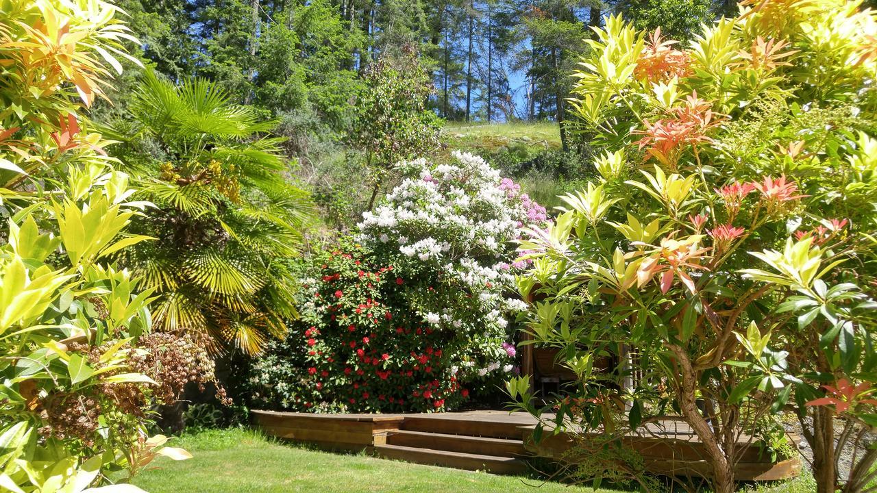 Sunshine Coast Treetop B&B Сешелт Экстерьер фото