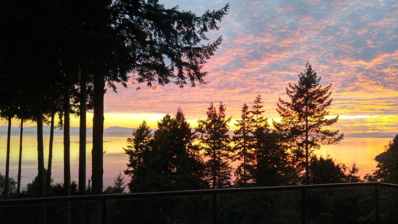 Sunshine Coast Treetop B&B Сешелт Экстерьер фото