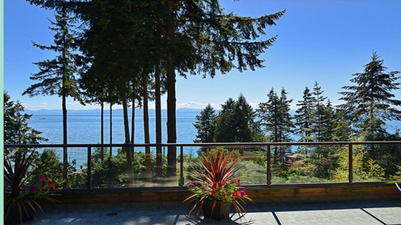Sunshine Coast Treetop B&B Сешелт Экстерьер фото